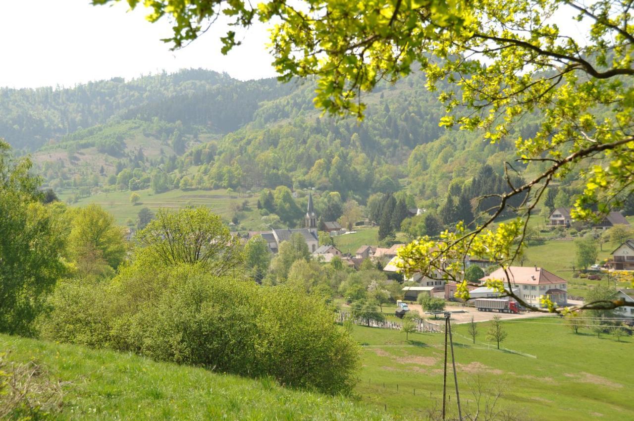 Appartement A Mitzach Buitenkant foto